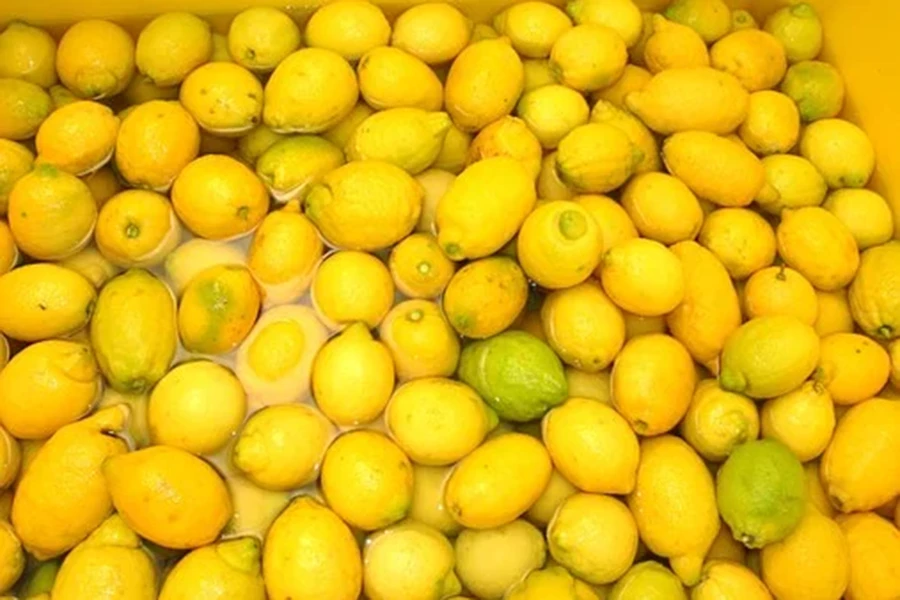 Gran Tour Della Campania Limoni