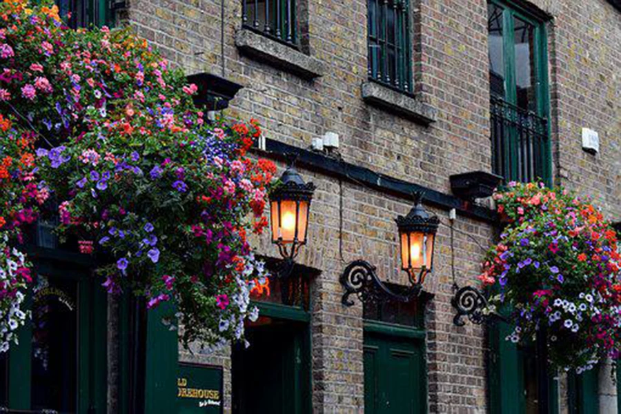 Irlanda Pub (2)