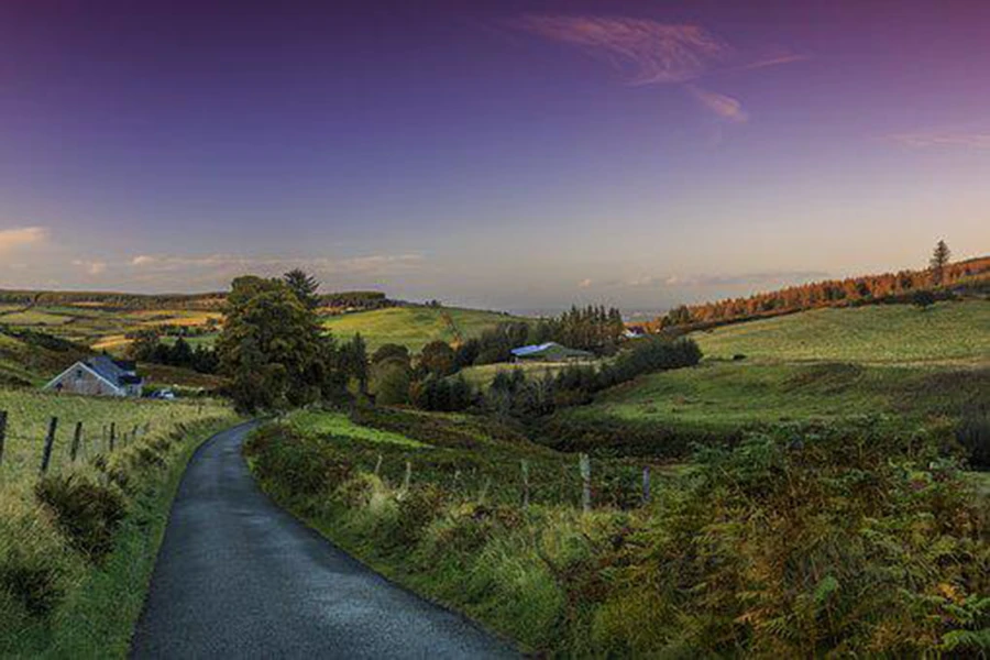 Irlanda natura (5)