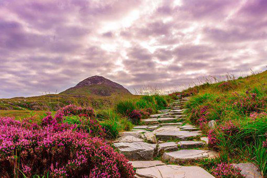 Irlanda natura