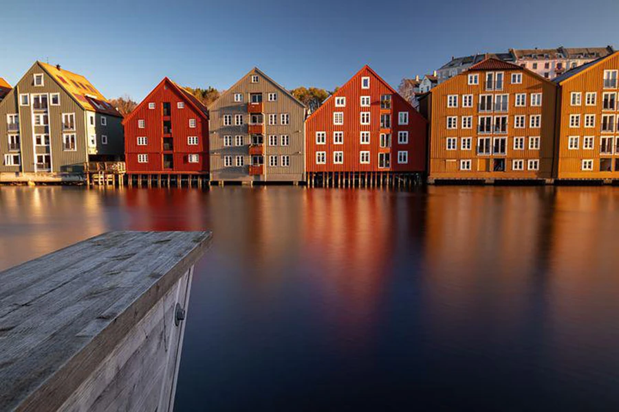 Norvegia Case (2)
