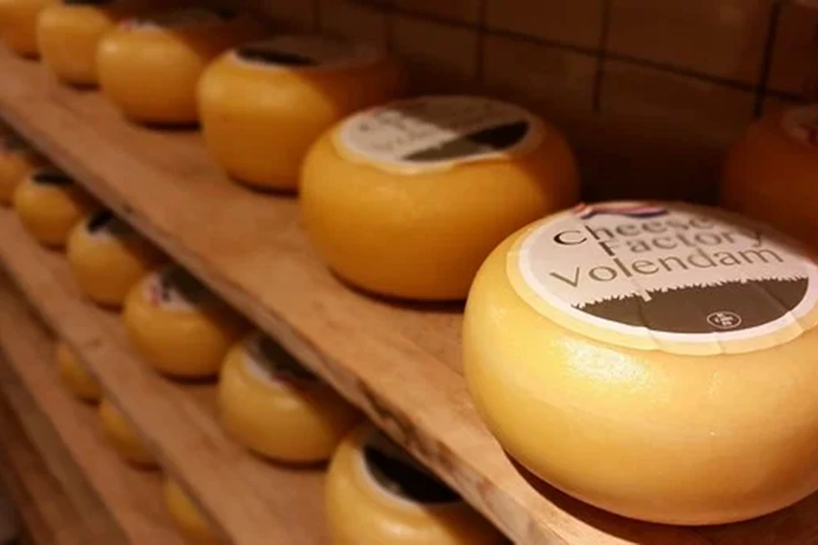 Tour in Europa Belgio & Olanda formaggio