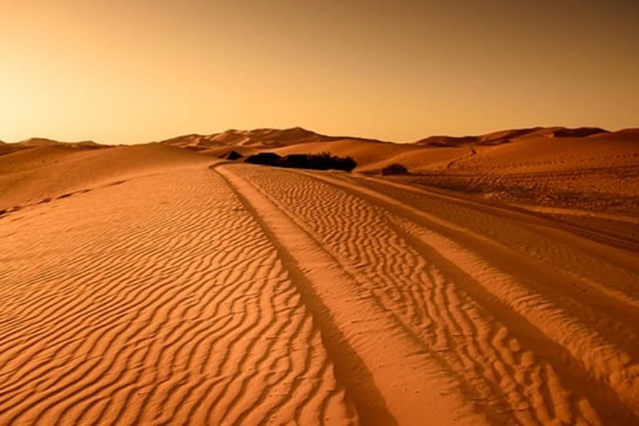 Mongolia deserto del Gobi