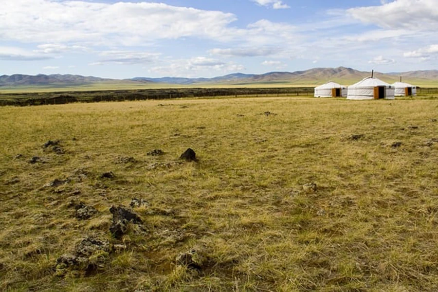 Tour Mongolia natura