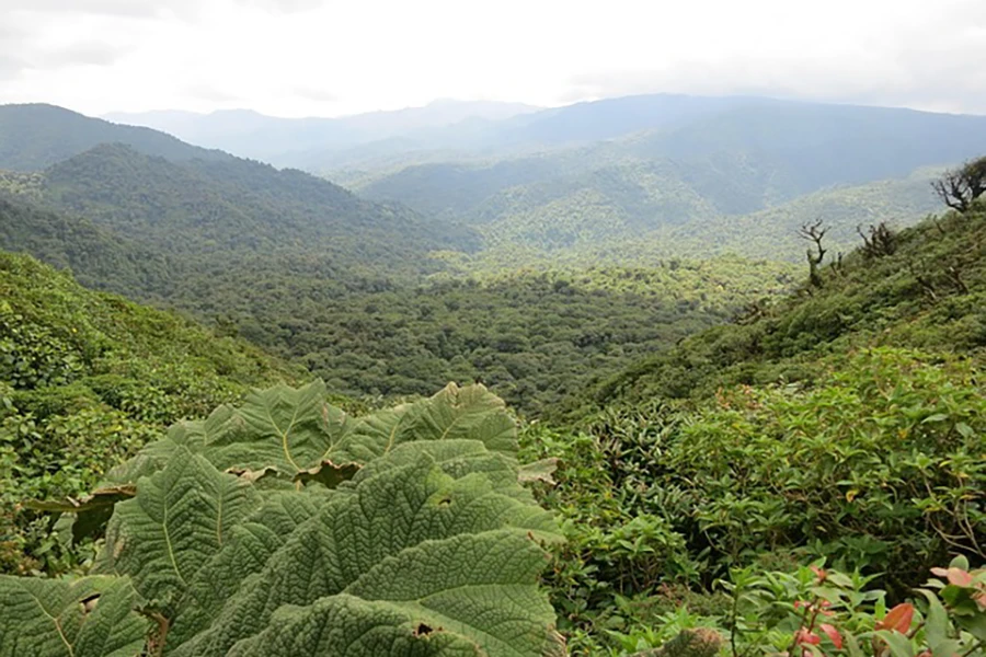 viaggi di nozze Costa Rica