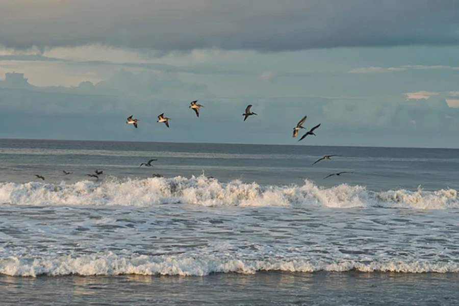 viaggi di nozze in Costa Rica