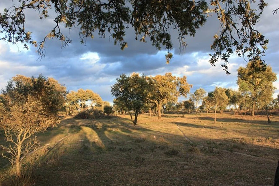 Castilla Estremadura natura