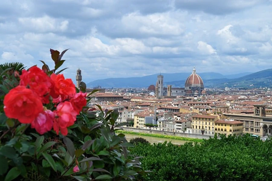 Tour Firenze Città