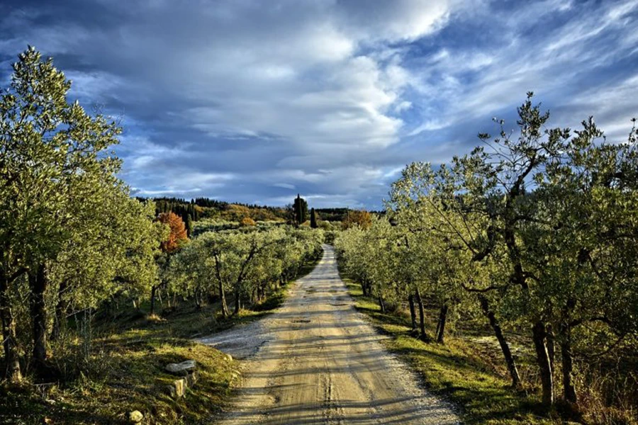 Tour Firenze Colline Chianti
