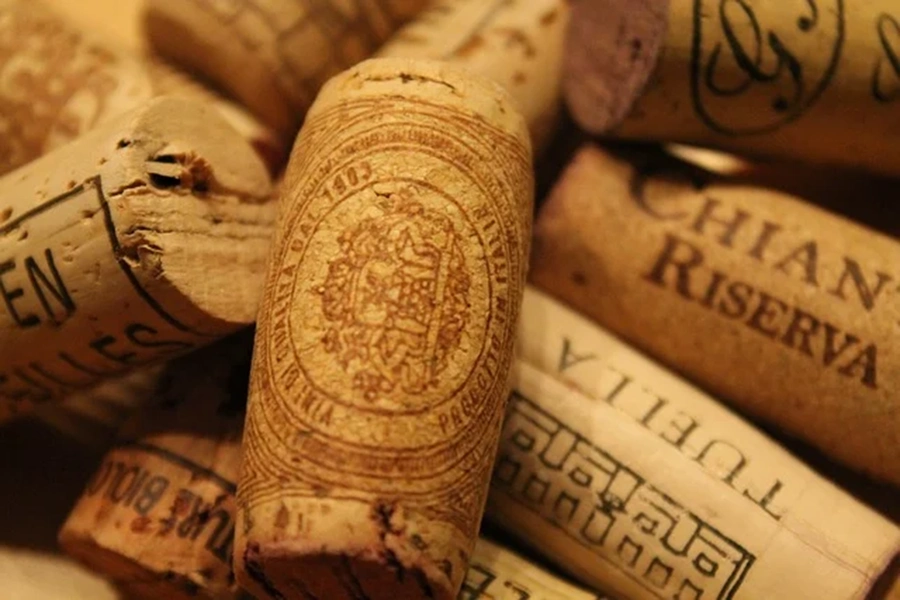 Tour Siena Vino