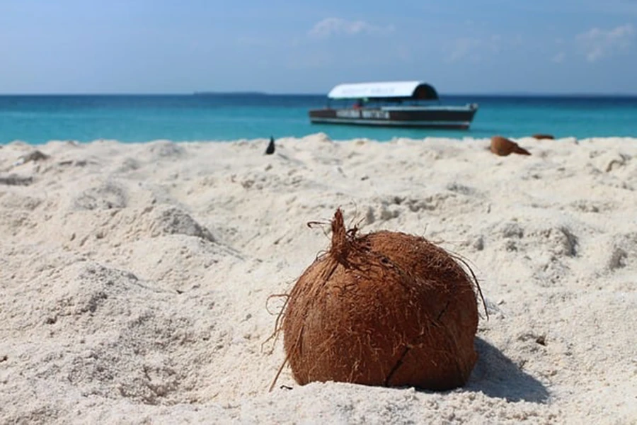 Capodanno a Zanzibar cocco