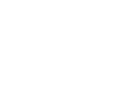 ico-check
